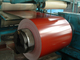 Wysokiej jakości PPGI Galwanizowana cebula stalowa walcowana na gorąco 1 mm 2 mm grubość 300 mm 500 mm szerokość dla przemysłu